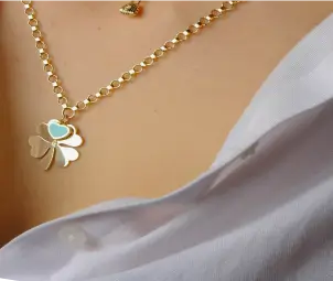 Chains Collection Image